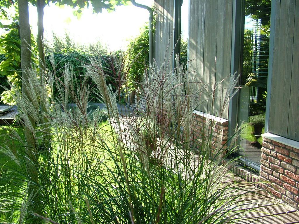 De Greenhouse Daire Amsterdam Dış mekan fotoğraf