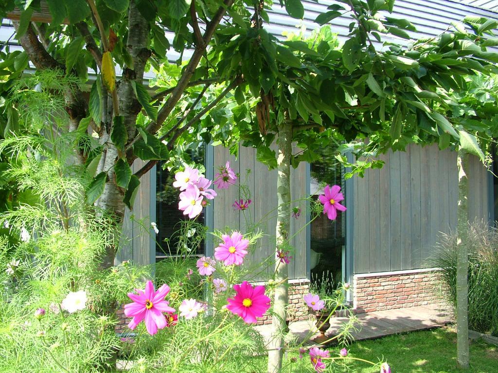 De Greenhouse Daire Amsterdam Dış mekan fotoğraf