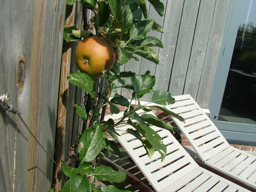 De Greenhouse Daire Amsterdam Dış mekan fotoğraf