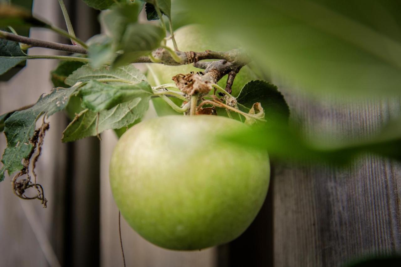 De Greenhouse Daire Amsterdam Dış mekan fotoğraf